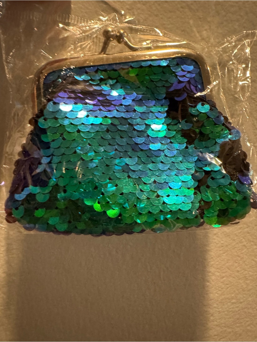 Kiss-Lock Coin Purse
